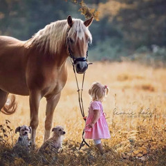 ‎⁨اضفيت على الحسن العبق - بدون موسيقى⁩