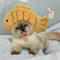 i love cats