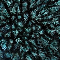 Starless December