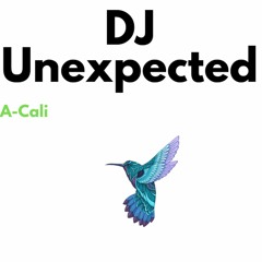 DJ Unexpected