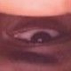 NOT DXRTi