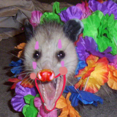 insane clown possum