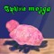 Грыжа мозга