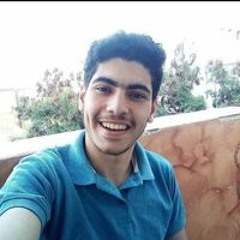 Mohamed Arafa Mostafa