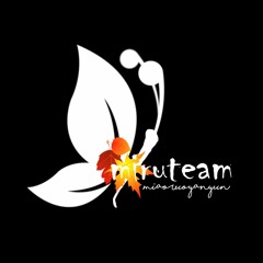 Miru Team