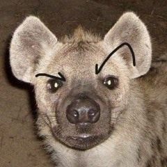 L0l-XD