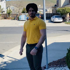 Harmanroop Singh Benipal
