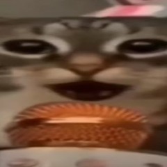 ☽ hi ☽