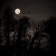 ♡̷𝔠𝔯𝔦𝔢𝔰𝔦𝔫𝔰𝔱𝔞𝔱𝔦𝔠♡̷