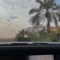 noufa-alfarhan