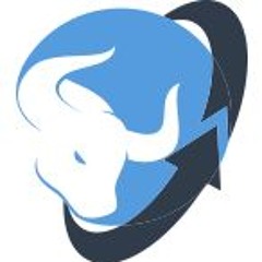 Bull360