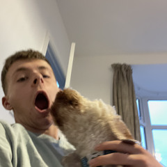 Oliver Utley