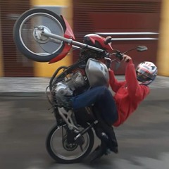 Digograu_59