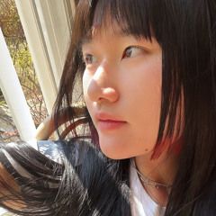 dahui shin