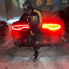 Quan Bundle$