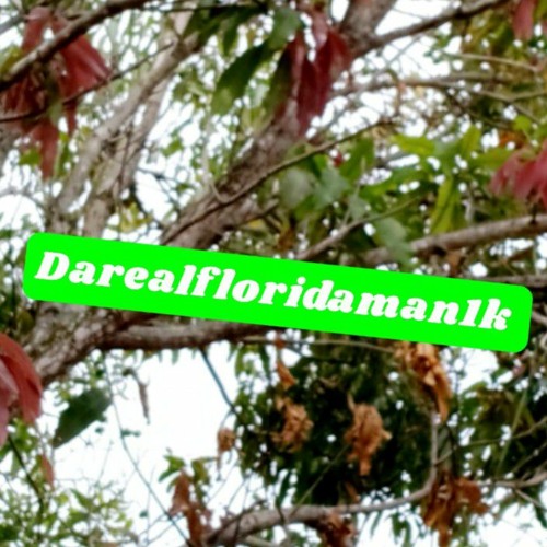 Darealfloridaman1k’s avatar