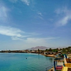 شمس الحياه