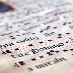 13 - Agnus Dei VIII