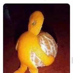 Progression to agression