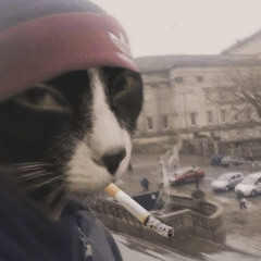 North End Pond Project