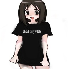 chlad zimy v lete