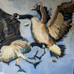 Mid-Air Goose Collision