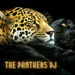 The panthers'Dj