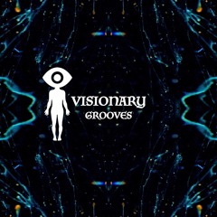 Visionary Grooves