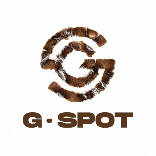 G-Spot Records’s avatar