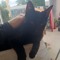 Léo