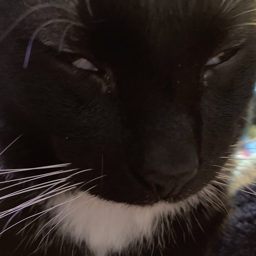 Rememberance - Forsaken