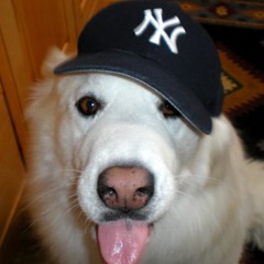 Jesse_da_coolest