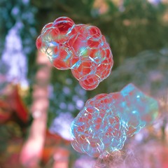 DMT