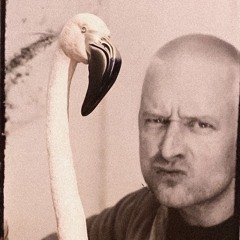 𝔗𝔦𝔩𝔩 𝔳𝔞𝔫 𝔏𝔬𝔬𝔰𝔢𝔫