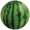 WATERMELON SQUAD