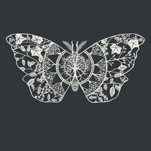 white moth’s avatar
