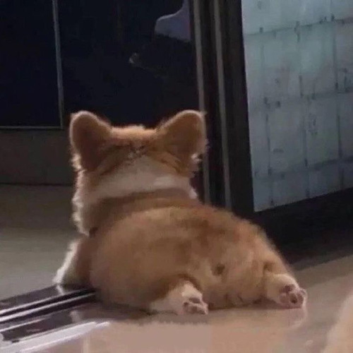 Hạc giấy - Yếnnapun
