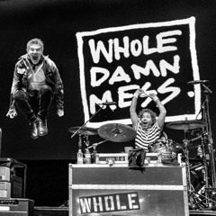 Whole Damn Mess