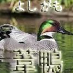 kwsagi