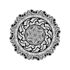 sirtimid