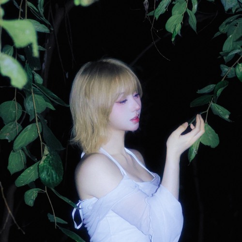 밤하늘에 번진 이름