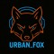 URBAN_FOX