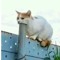youri.px