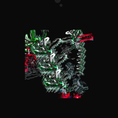 ꪻꪮꪶꪶꫀ᥅ ᥅ꪮꪮꪑ