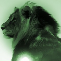 TheNaxela
