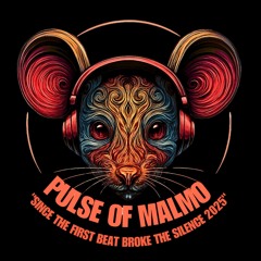 Pulse Of Malmo