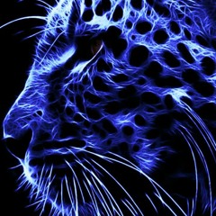 navy leopard