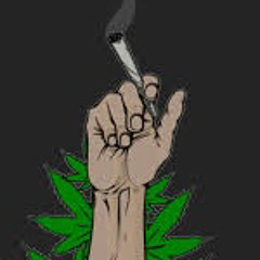 stoners inc