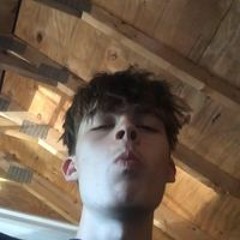Matt Will