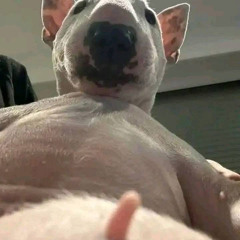 Nguyễn Khắc Dũng